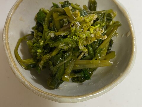 花山葵の醤油漬け